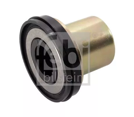 FEBI BILSTEIN FEBI BILSTEIN 172905 Bush, steering knuckle 