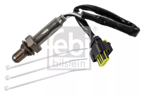 Oxygen Sensor