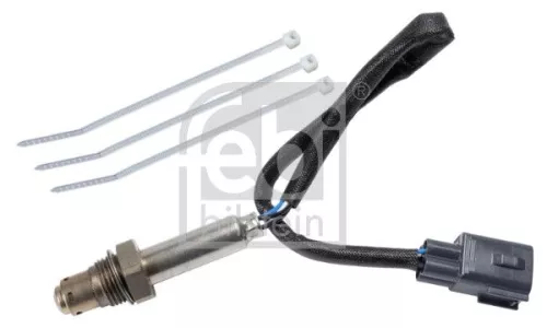 Oxygen Sensor