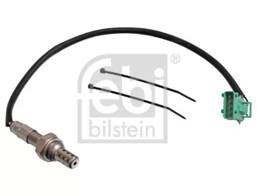 Oxygen Sensor