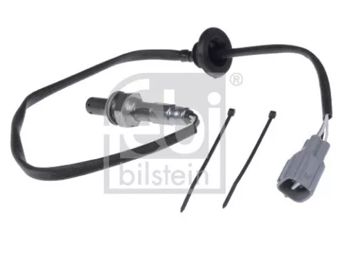Oxygen Sensor