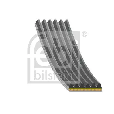 FEBI BILSTEIN FEBI BILSTEIN 179843 Febi Alternator Belt For Ford Kuga Tourneo Custom Transit Transit Custom 