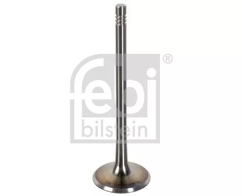 FEBI BILSTEIN FEBI BILSTEIN 181076 Intake Valve 
