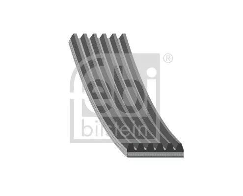 FEBI BILSTEIN FEBI BILSTEIN 182132 Febi Alternator Belt For Audi Seat Skoda Vw A1 Fabia Ibiza Polo Polo Van  