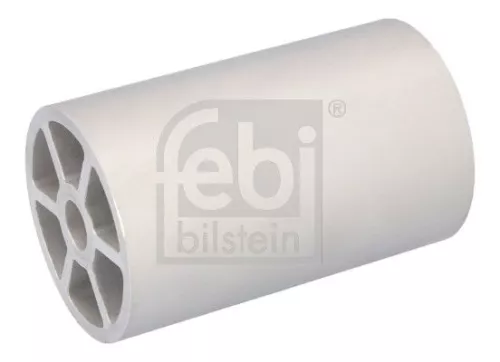 Bushing, leaf spring