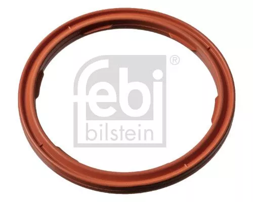 Seal Ring, engine oil level sensor