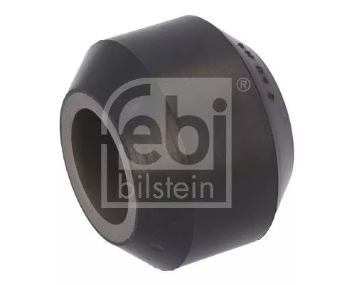 Bushing, leaf spring