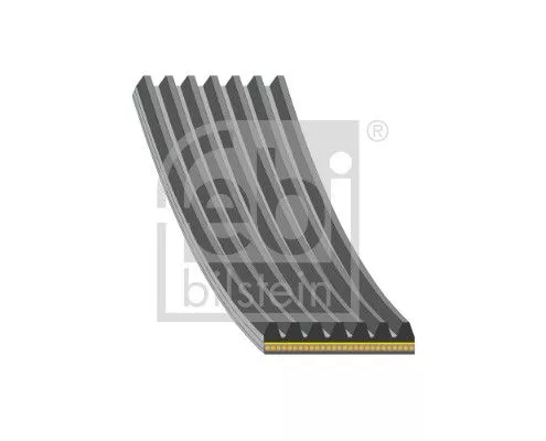 FEBI BILSTEIN FEBI BILSTEIN 184935 Febi Alternator Belt For Volvo V60 