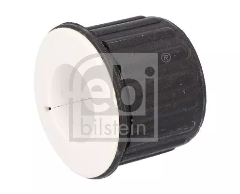 Bushing, leaf spring