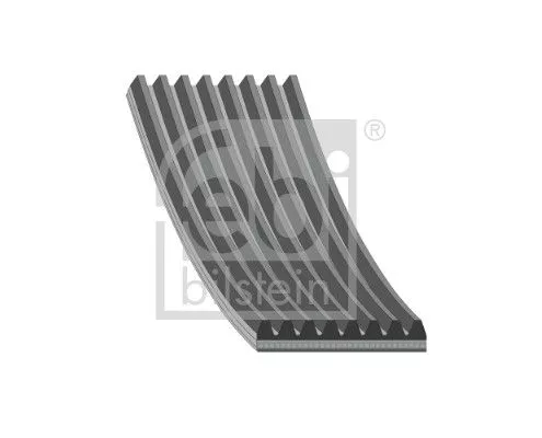 FEBI BILSTEIN FEBI BILSTEIN 196694 Febi Alternator Belt For Daf Xd Xf Xf Ii Xg Xg+ 