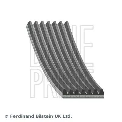 Blue Print V-ribbed Belt For Mazda Nissan Atleon Cabstar Xedos 9