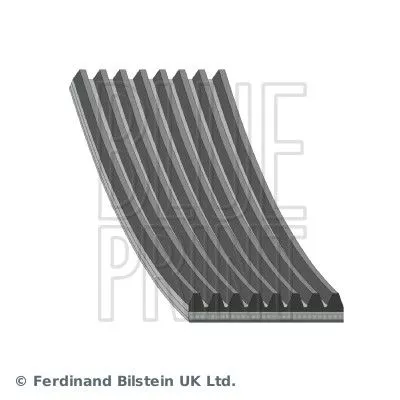 Blue Print V-ribbed Belt For Mazda 5 6 Mpv