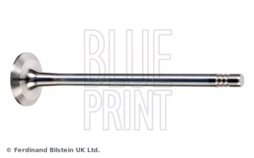 Exhaust Valve