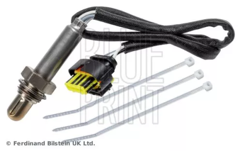 Oxygen Sensor
