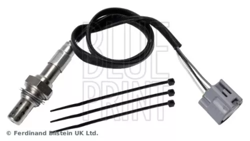 Oxygen Sensor