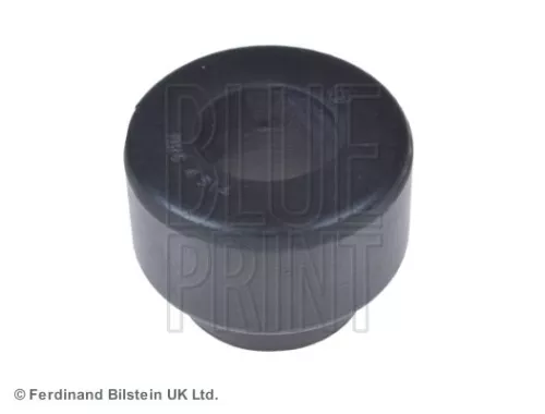 BLUE PRINT BLUE PRINT ADJ138036 Mounting, control/trailing arm 