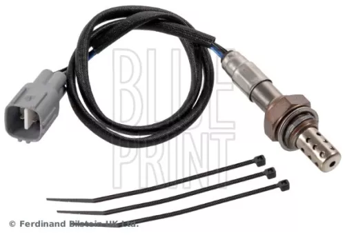 Oxygen Sensor