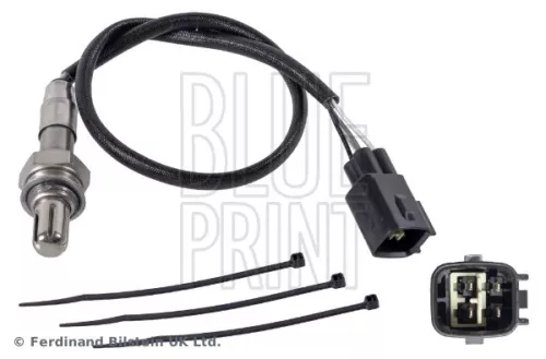 Oxygen Sensor