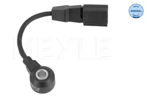 Knock Sensor