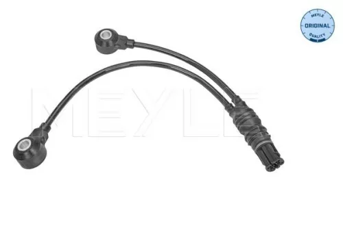 Knock Sensor