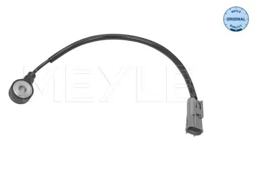 Knock Sensor