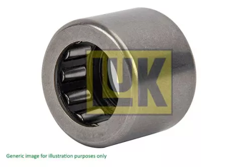 Schaeffler LuK Schaeffler LuK 410003610 LuK Pilot Bearing clutch for NISSAN OPEL RENAULT VAUXHALL 21 ARENA AVANTIME CLIO 