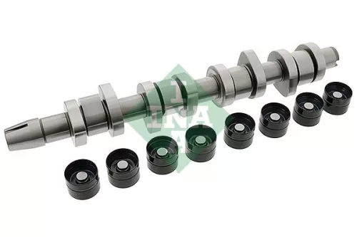 Schaeffler INA Schaeffler INA 428004230 Camshaft Kit 