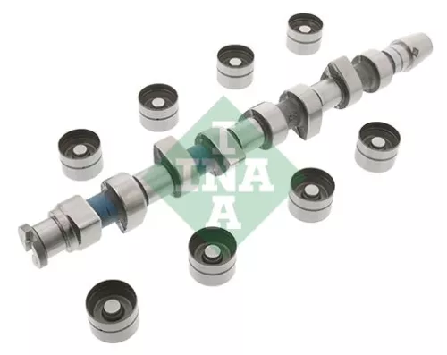 Schaeffler INA Schaeffler INA 428004830 Camshaft Kit 