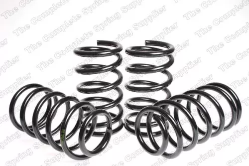 Suspension Set, springs