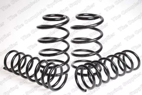 Suspension Set, springs