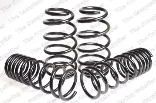 Suspension Set, springs