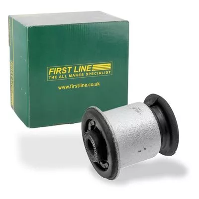 Mounting, control/trailing arm